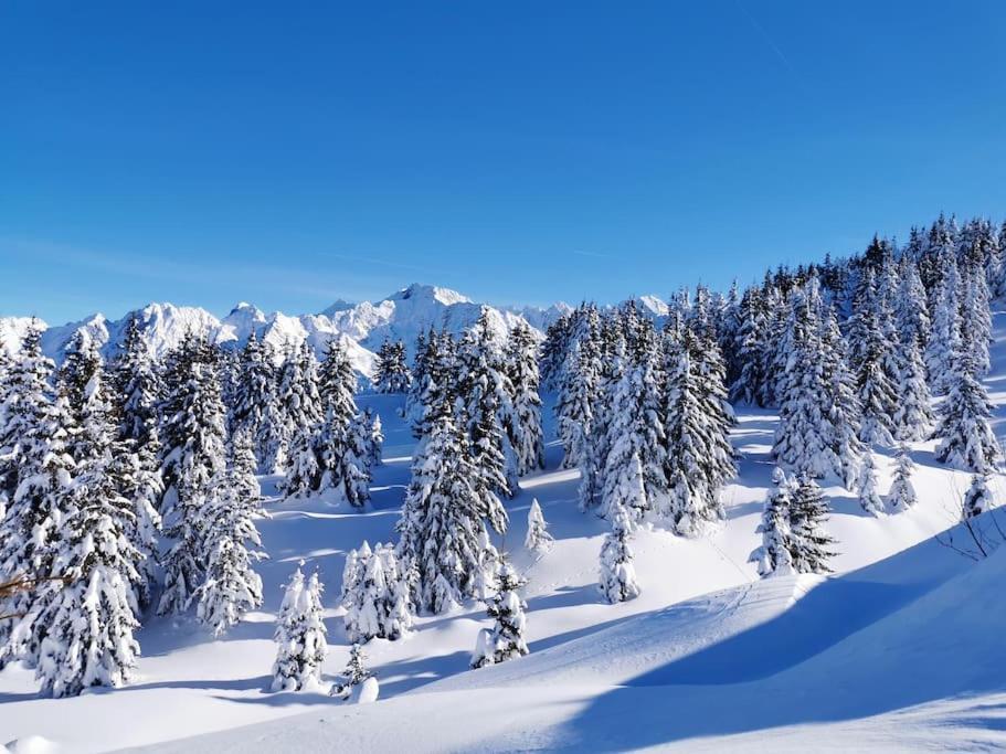 فيلا La Tour En Belledonne Theys المظهر الخارجي الصورة