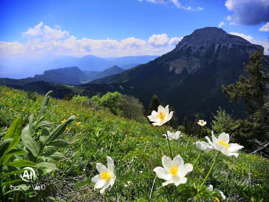 فيلا La Tour En Belledonne Theys المظهر الخارجي الصورة